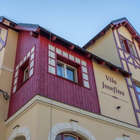 Apartament Vila Josefina Jizerske Hory Josefŭv Dŭl Zewnętrze zdjęcie