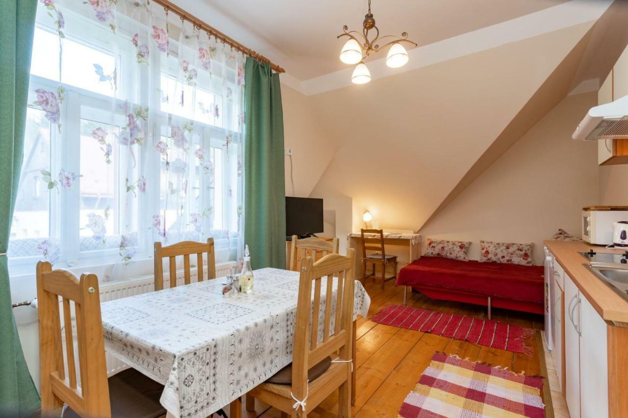 Apartament Vila Josefina Jizerske Hory Josefŭv Dŭl Zewnętrze zdjęcie